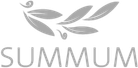 Premios Summum